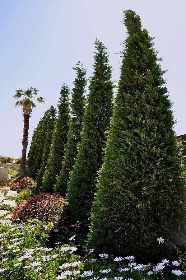 Ocean Villas Complex Agia Pelagia  Bagian luar foto